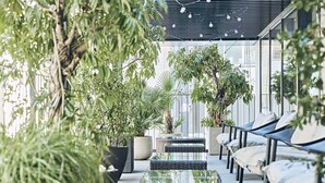 Un jardín interior con plantas en macetas, muebles de mimbre y una mesa de vidrio.