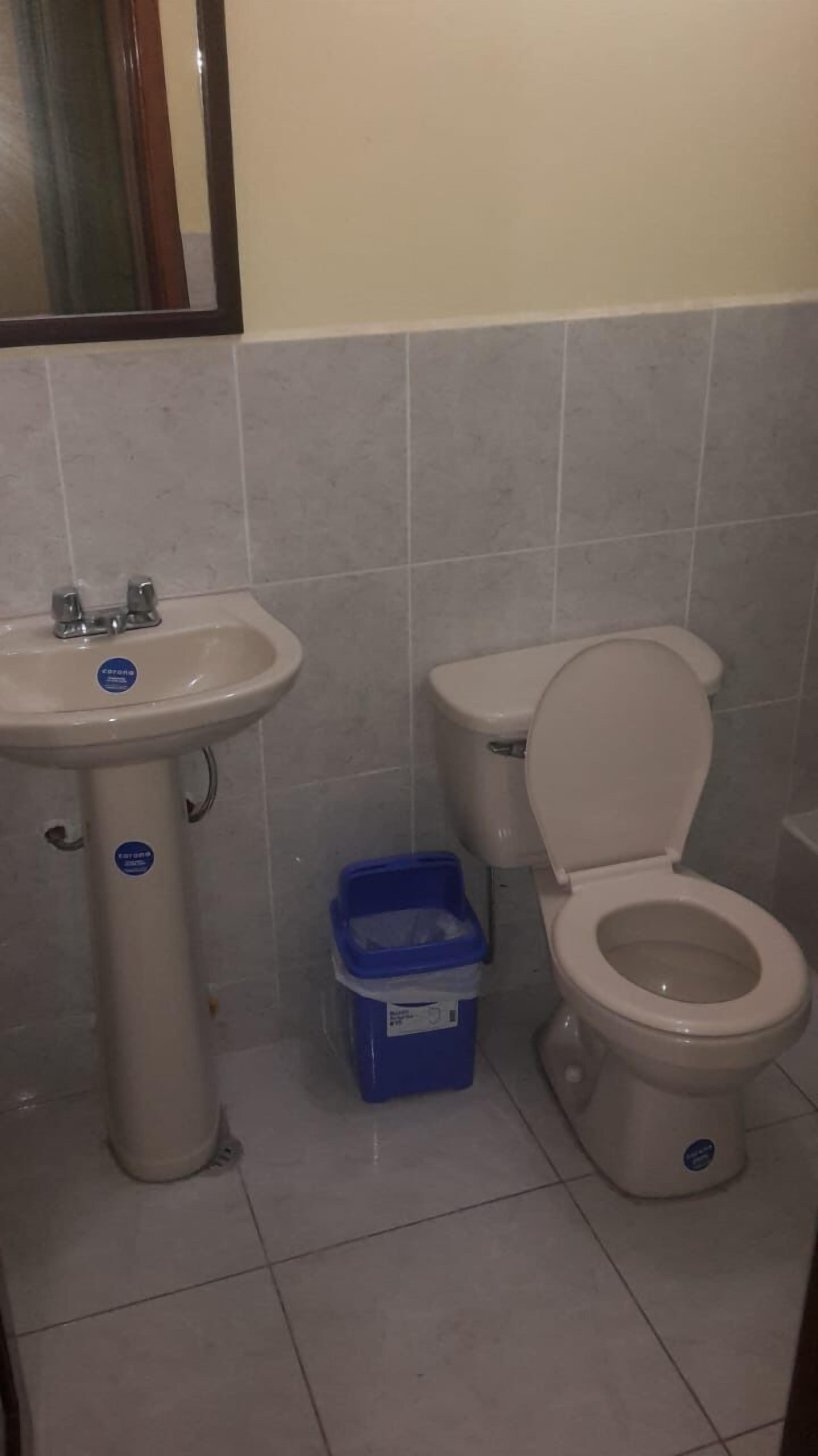 A bathroom with a sink, toilet, and a blue trash bin.