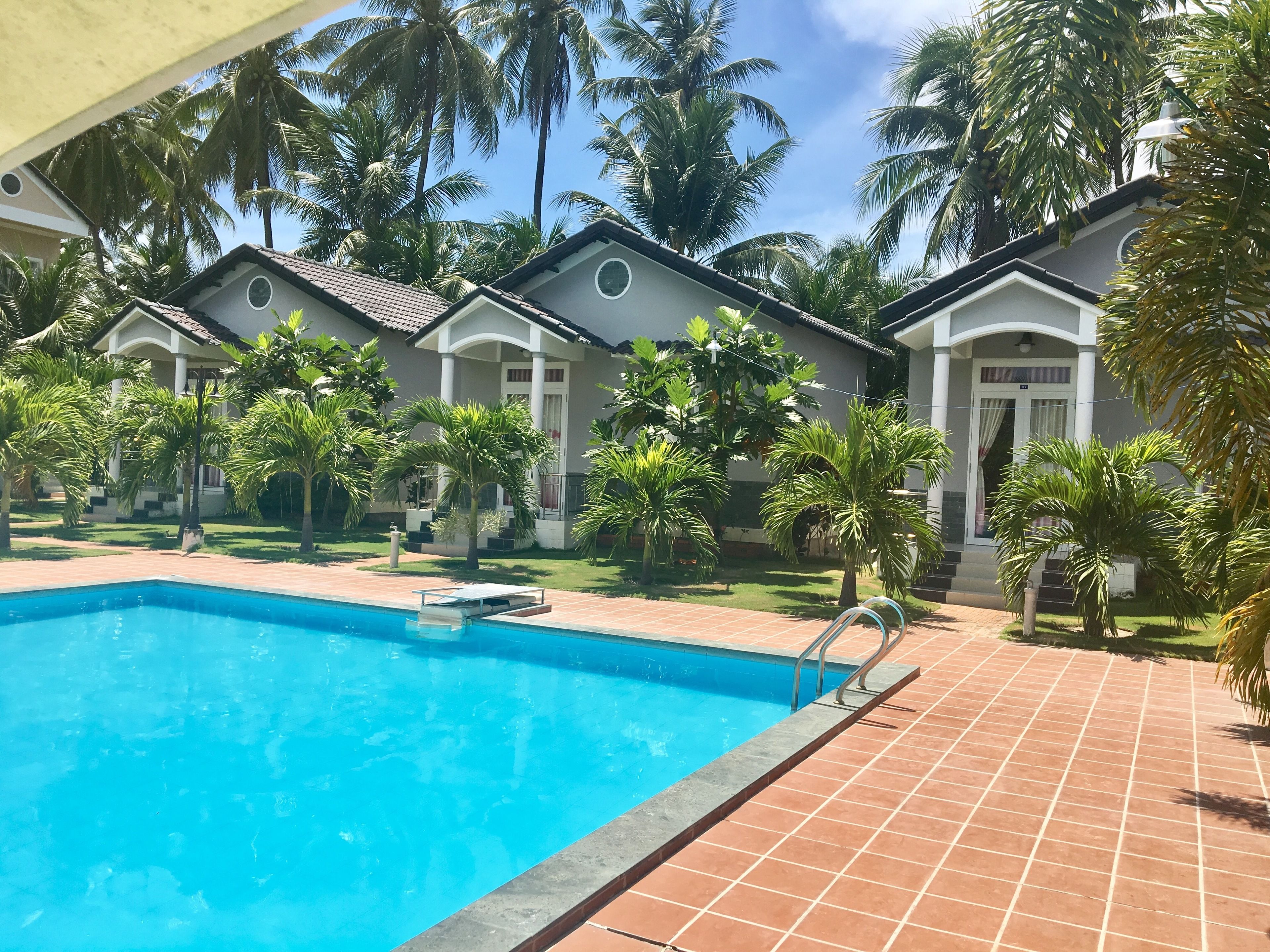A swimming pool with tiled edges, surrounded by palm trees and a building with a tiled roof and white columns.