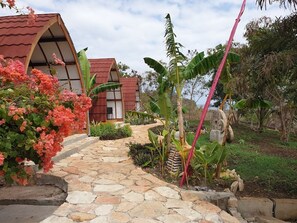 Chambre Deluxe Double ou avec lits jumeaux, vue plage