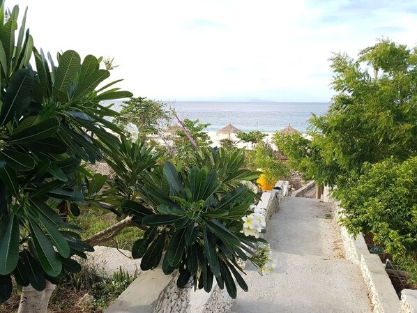 A pathway leading to a beach with lush greenery and a view of the ocean.