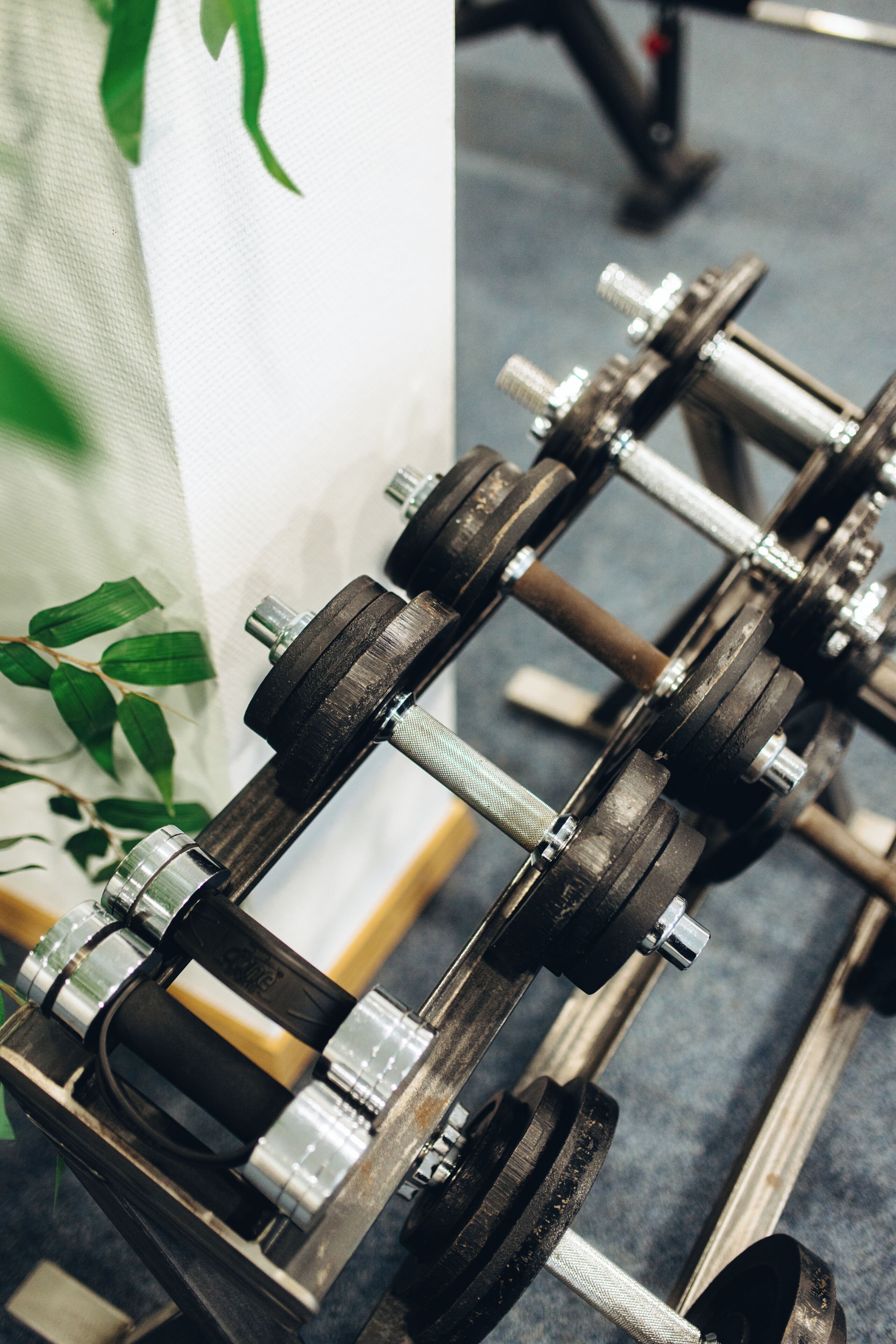 Equipamiento de fitness en la habitación