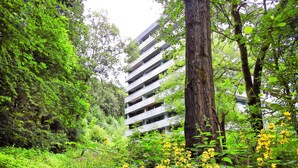 A multi-story building surrounded by dense greenery and trees. - DeLuchs bed linen bookable - DeLuchs (Bad Harzburg)