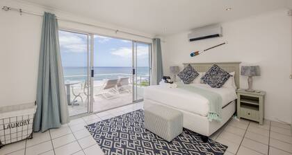 Indigo Bay - The Penguin