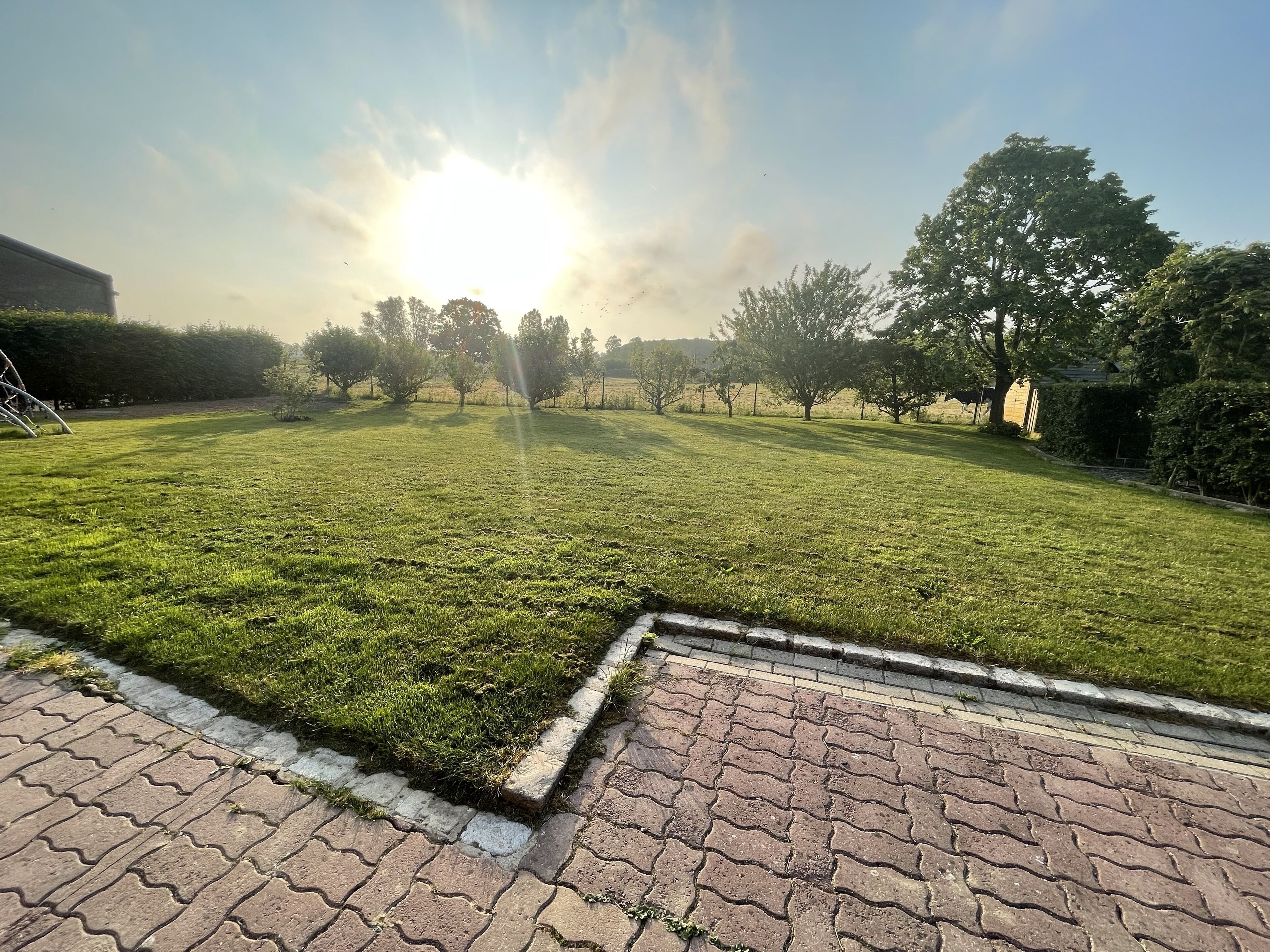 A grassy outdoor area with a paved walkway, trees, and a clear sky.
