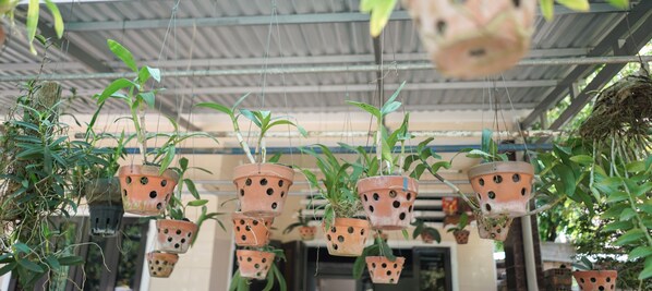 Interior entrance - Duck House (Da Nang)