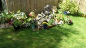 Un jardí amb diverses plantes i flors, una tanca de fusta i una petita bassa.