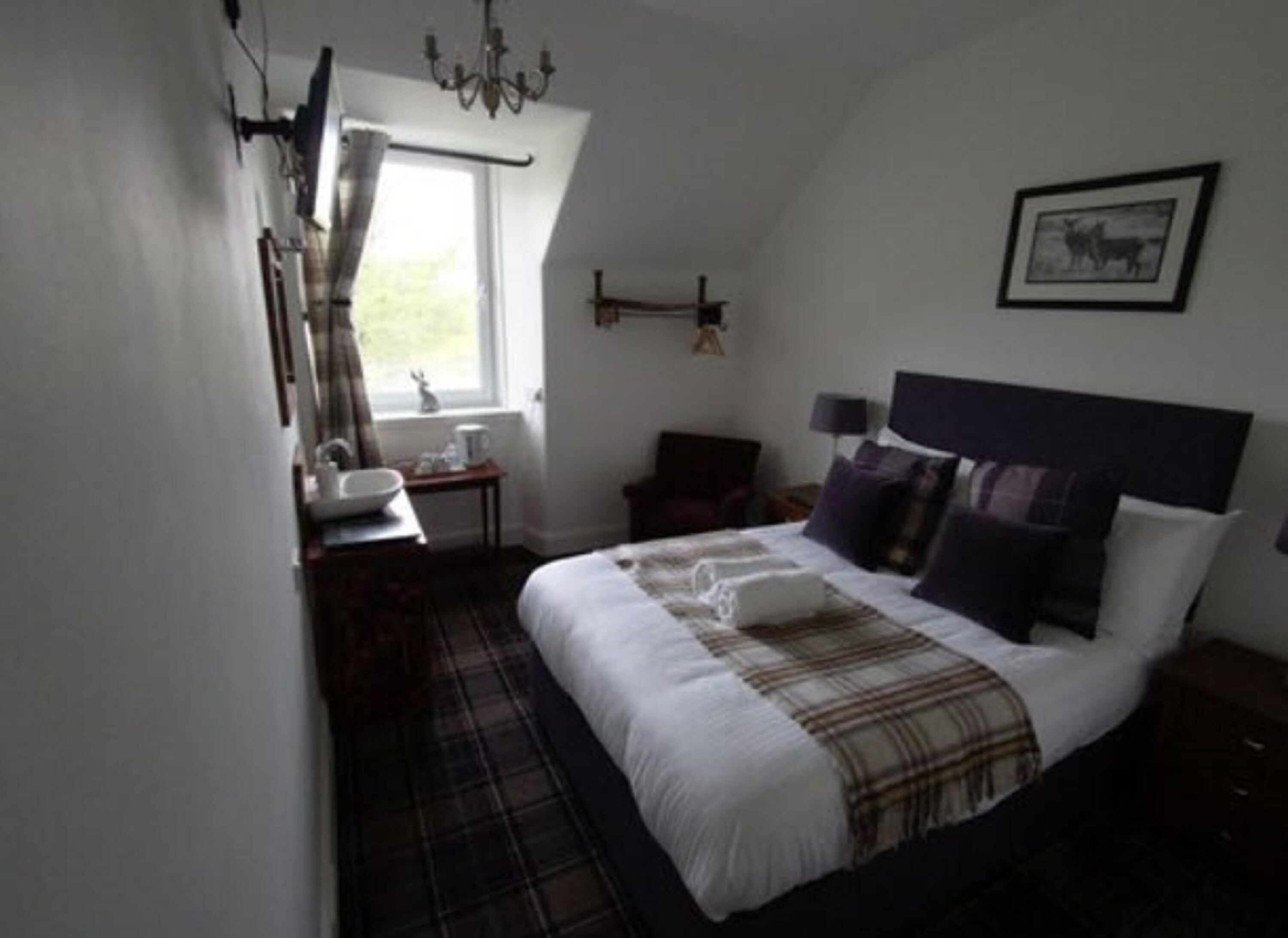 Standard Double Room, 1 Double Bed, Non Smoking, Ensuite | View from room