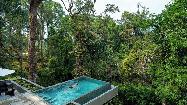 An infinity pool with a person swimming, surrounded by lush greenery.