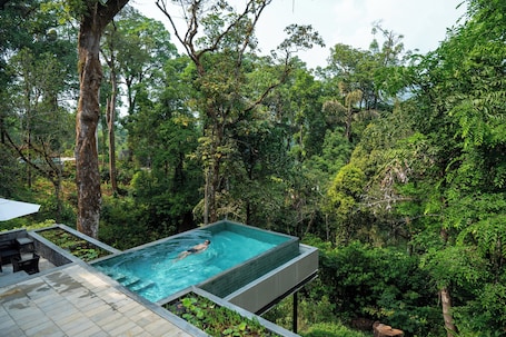 An infinity pool with a person swimming, surrounded by lush greenery.