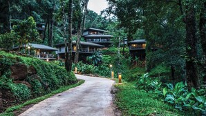 A pathway leading to a hillside resort with multiple buildings, surrounded by dense forest.