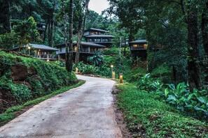 Garden - Ayatana Coorg (Somvarpet)