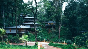 A multi-story building nestled in a forested area with a dirt path leading to the entrance.