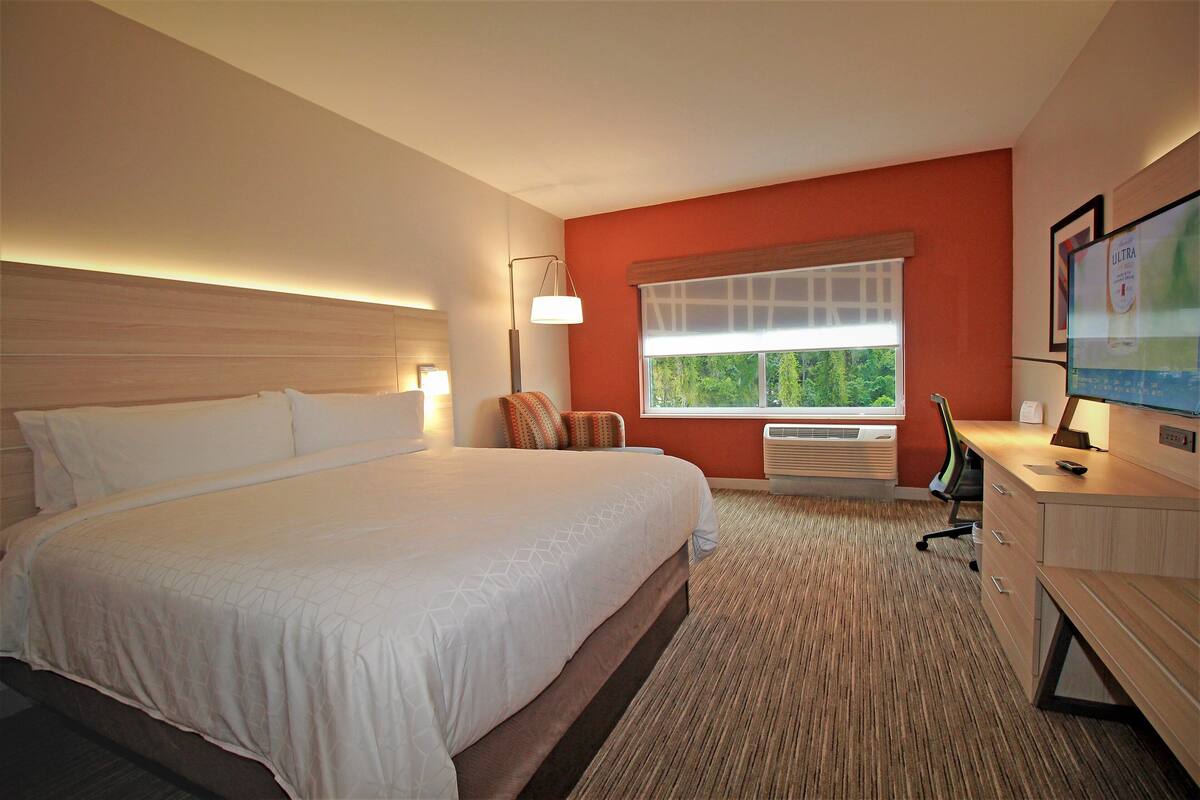 Une chambre d’hôtel avec un grand lit, un bureau avec une télévision, une fenêtre donnant sur un espace verdoyant et une lampe fixée au mur.