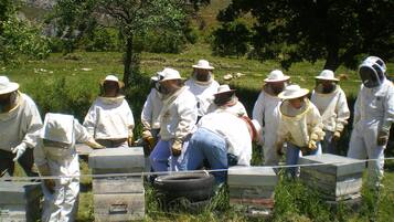 Jardín