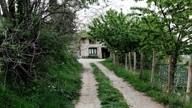 A gravel path leading to a stone house with a wooden fence on one side and dense greenery on the other. - Albergue Casa Fumenal (Valle de Lierp)