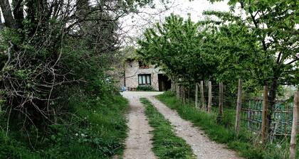 Albergue Casa Fumenal