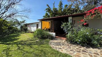 A stone pathway leading to a house with a yellow curtain, surrounded by lush greenery and flowering plants.