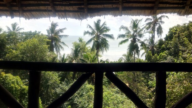 Vista desde una construcción de techo de paja que domina un paisaje tropical con palmeras y una masa de agua.