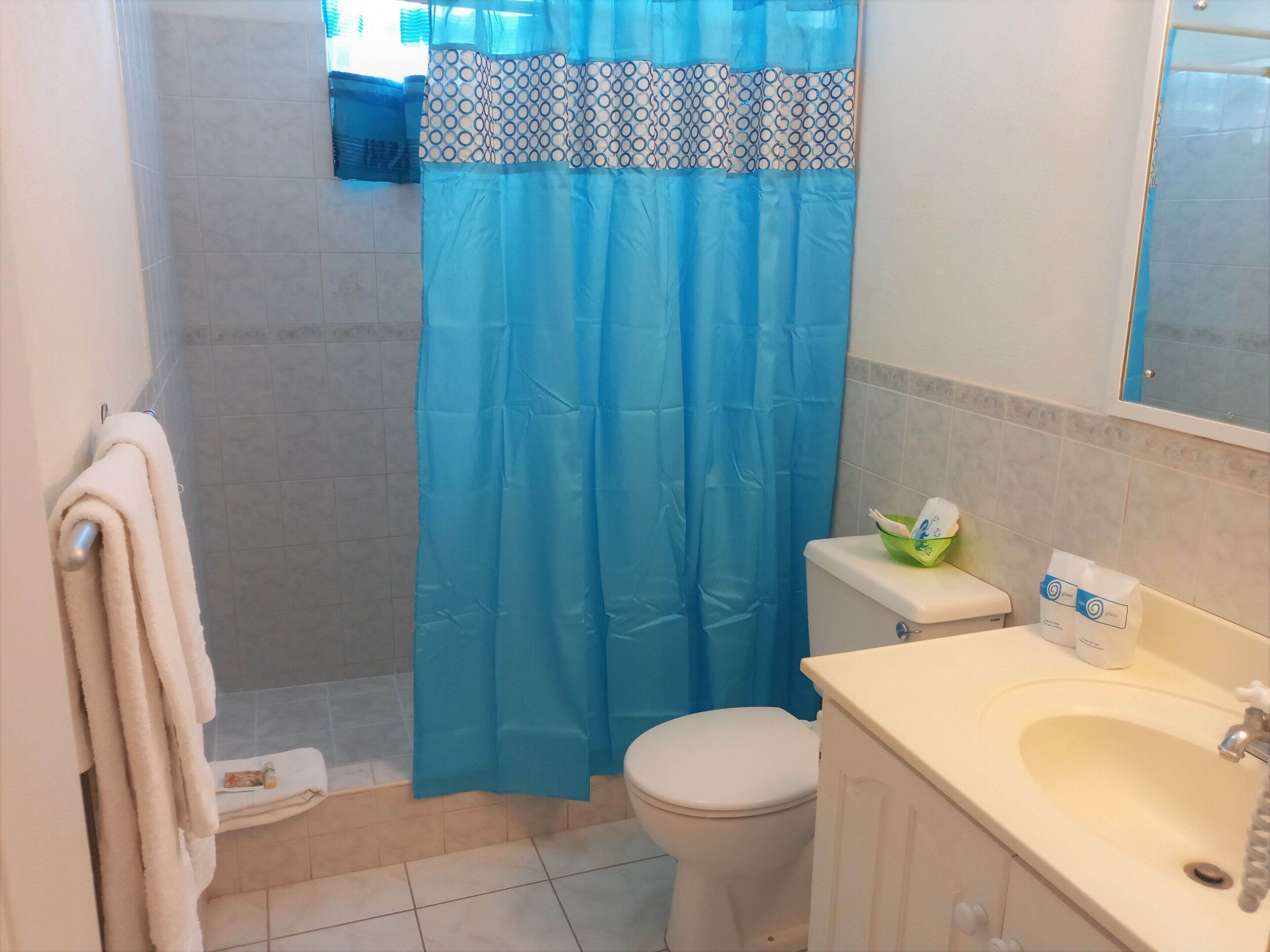 A bathroom with a blue shower curtain, a white toilet, a sink with a mirror, and a towel rack.