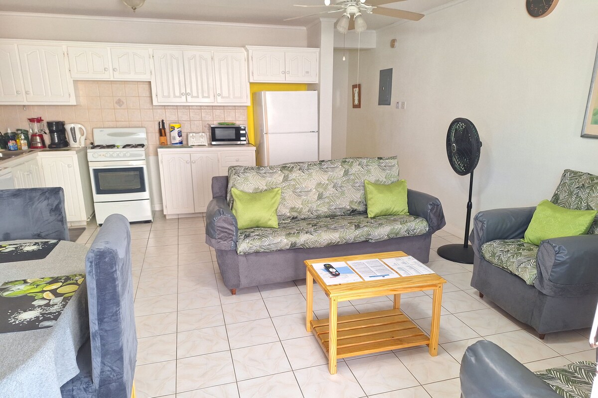Deluxe Apartment (1 Bedroom)  | Living area | Flat-screen TV
