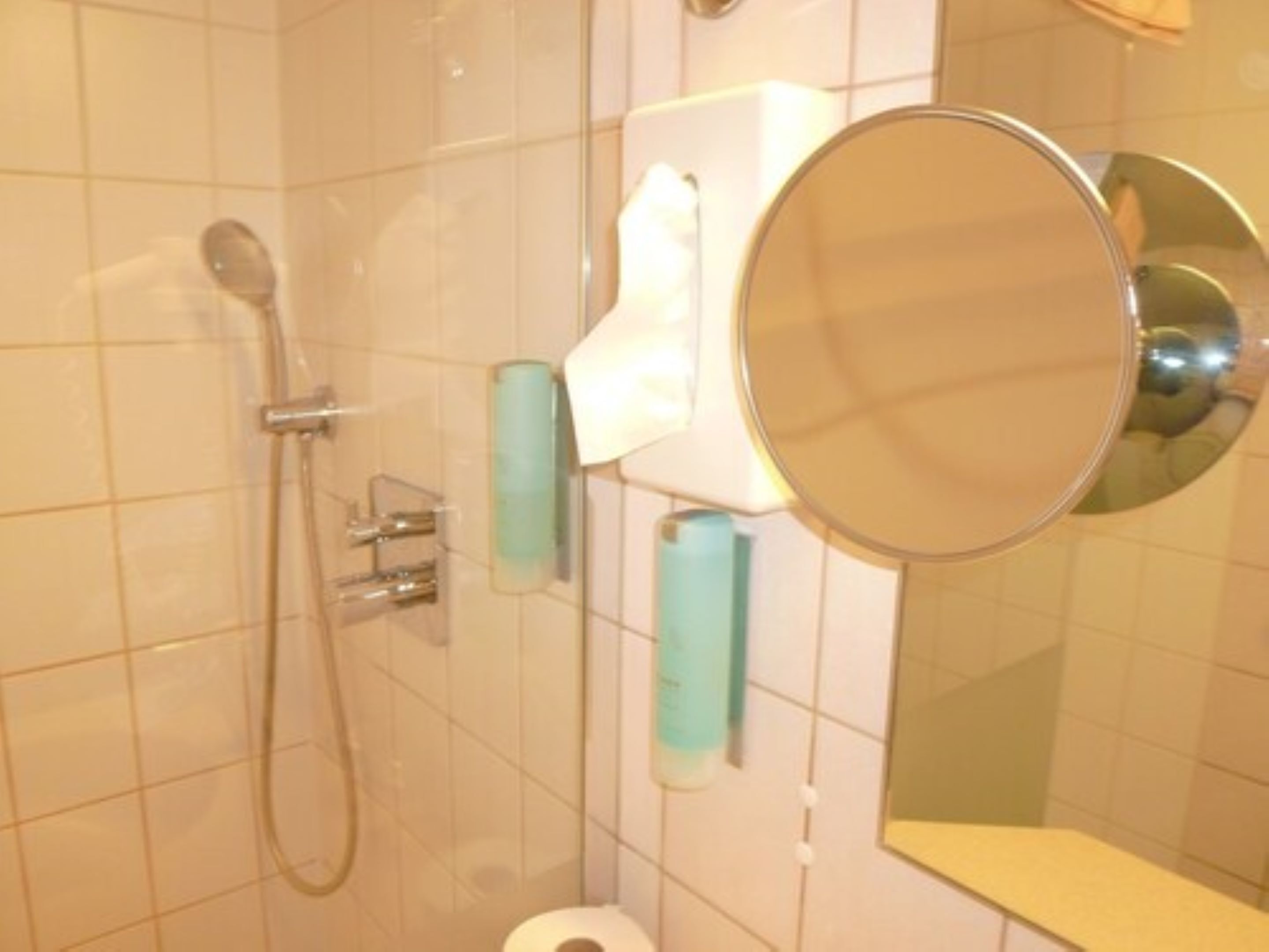 Ein Badezimmer mit Dusche, Toilette und Spiegel.