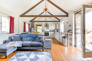 Smart TV, fireplace, DVD player, ping pong