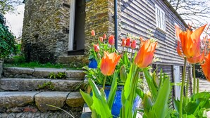 A stone building with a wooden door and steps leading up to it. - Award winning stunning barn conversion over looking nature reserve (Landulph)