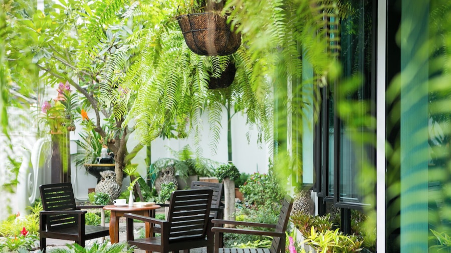 Patra Phrasing Boutique Hotel