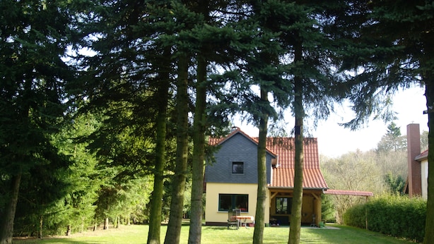 A house with a grey roof and a yellow facade, surrounded by trees and a grassy yard. - Ferienhaus Mirow-Lärz - Kamin Wald Ruhe (Laerz)