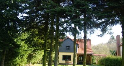 Ferienhaus Mirow-Lärz - Kamin Wald Ruhe