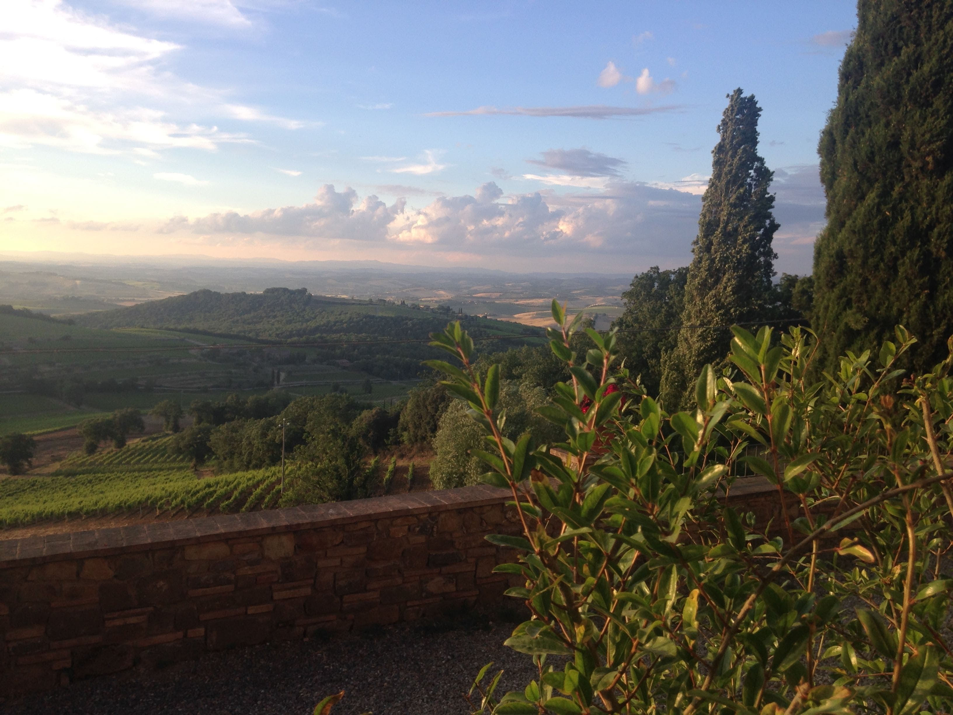 Une vue pittoresque d’un vignoble, avec des collines ondoyantes et un mur de pierres au premier plan.