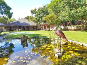 Property grounds - Waverley Guest House (Johannesburg)