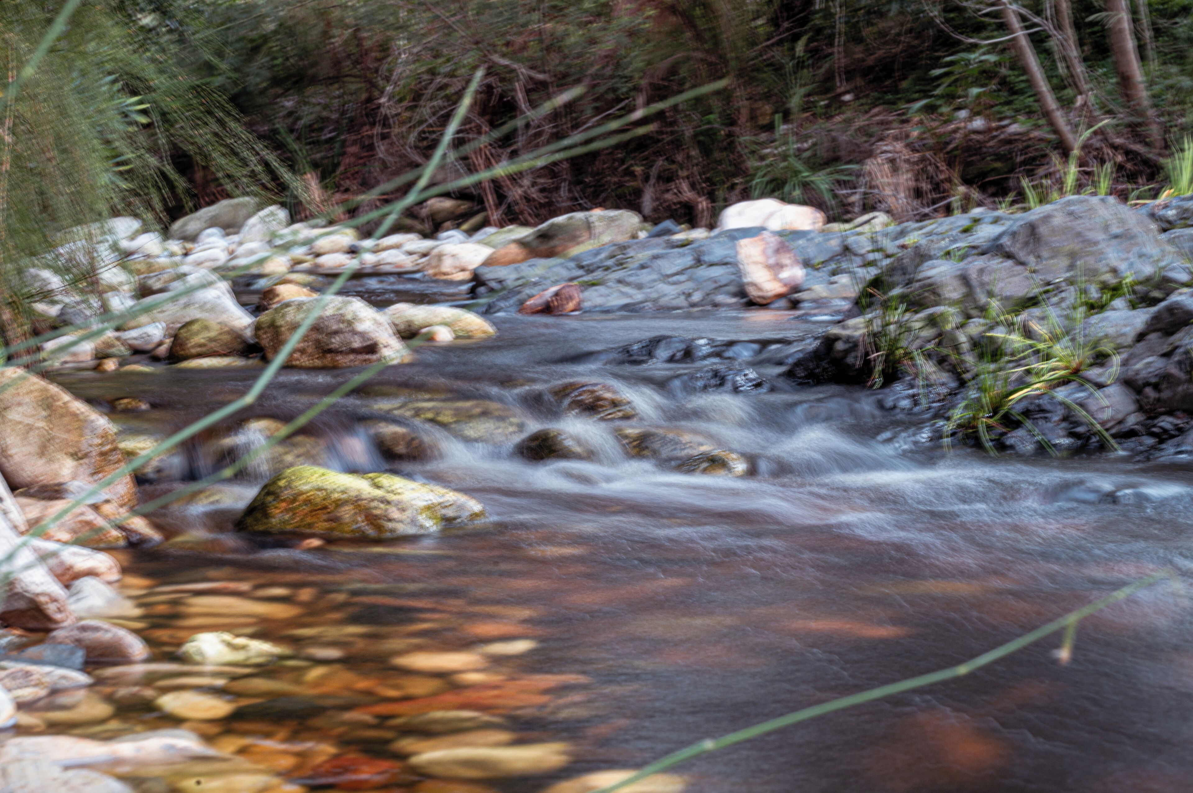 A stream with clear water flowing over rocks, surrounded by greenery.