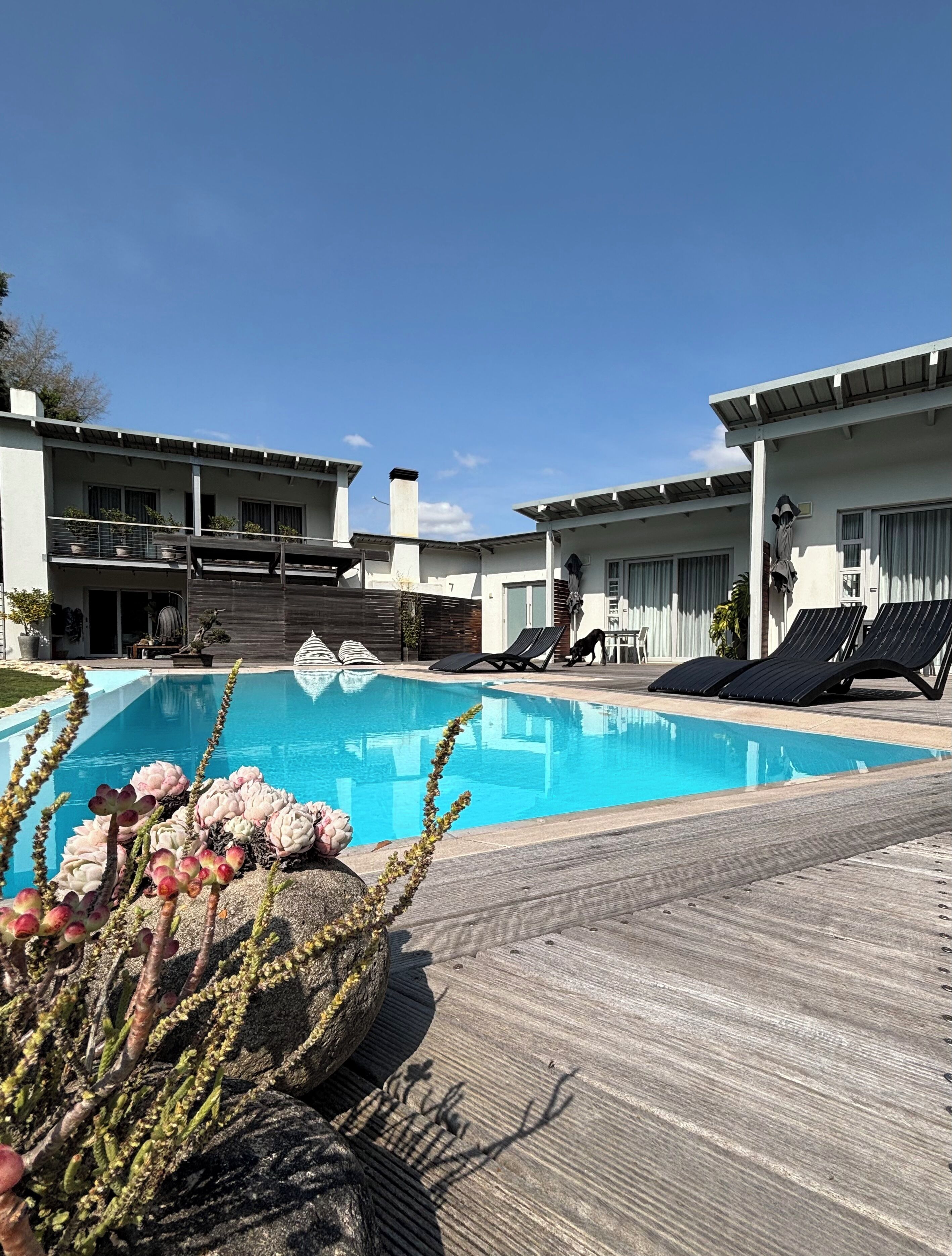 A modern pool area with a clear blue pool, lounge chairs, and a wooden deck.
