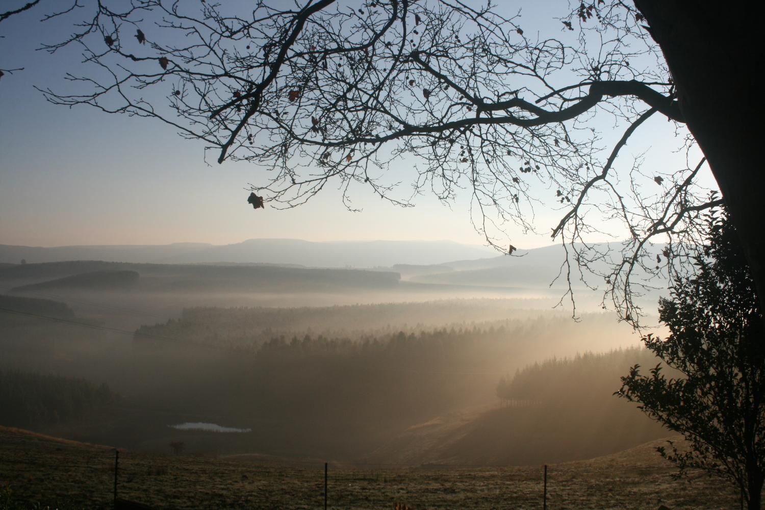 A misty landscape with a tree branch in the foreground and a valley in the background.