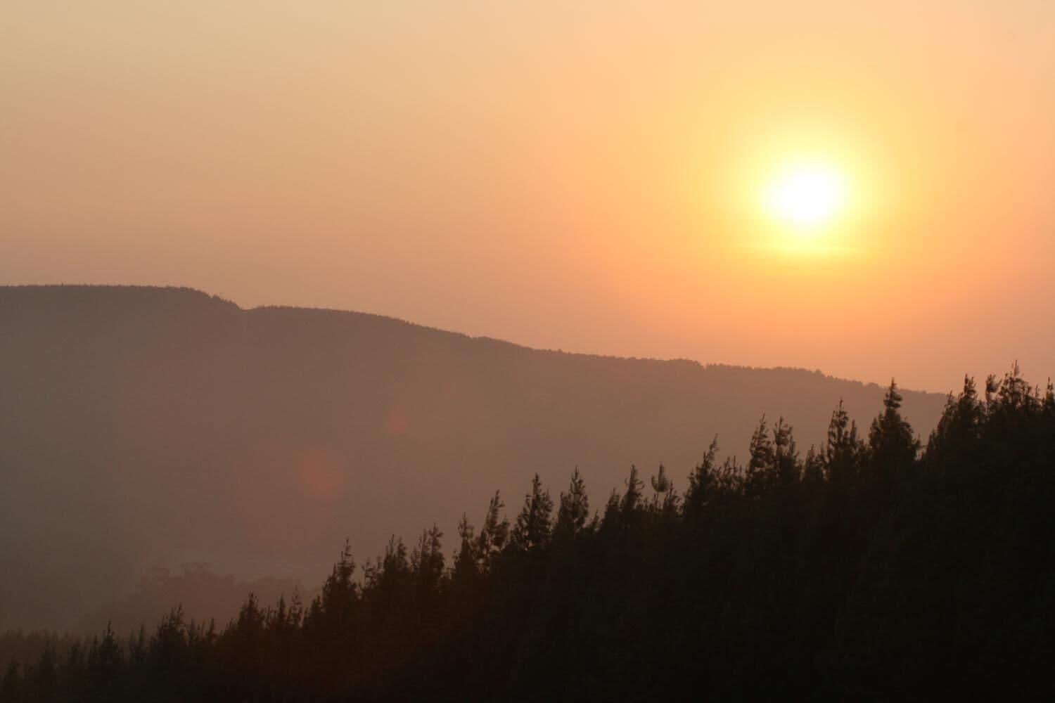 A sunset over a forested landscape with a mountain in the background.