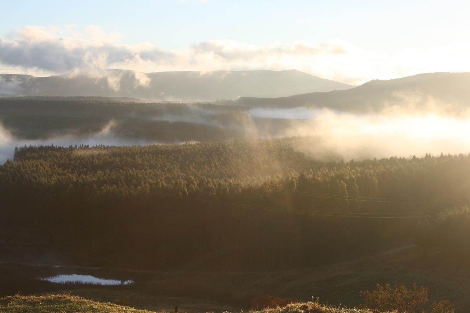 A forested valley with a lake and mountains in the background.