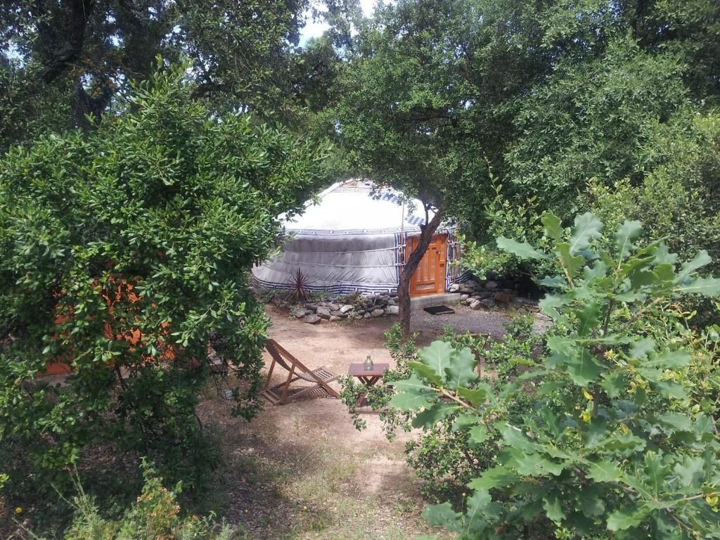 Un espacio exterior cubierto con una mesa y sillas, rodeado de vegetación densa.