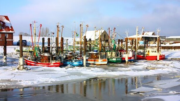 A marina with several boats docked in a frozen waterway. - Hotel zur Fischerklause (Butjadingen)