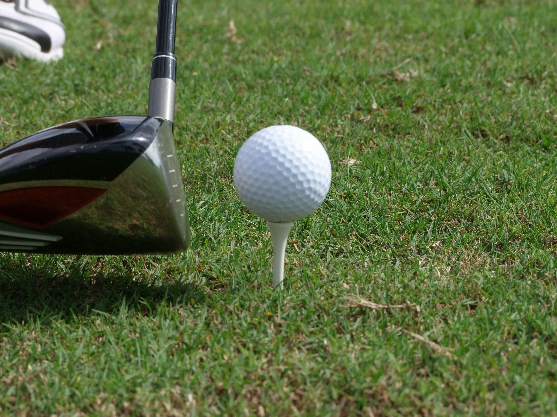 En golfklubba placerad bredvid en golfboll på en gräsyta.