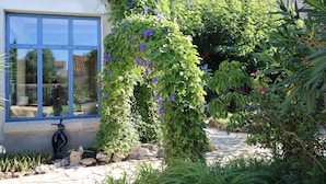 A garden with a stone pathway, a blue window, and a wall covered with climbing plants. - Aux Pots Bleus (Nissan-lez-Enserune)