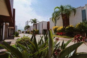 Un patio de hotel con palmeras, un camino y un edificio de diseño moderno.
