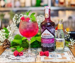 A bottle of Warners Raspberry Gin, a glass of Fever-Tree Premium Indian Tonic Water, and raspberries on a table with a patterned tablecloth.