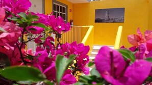 A staircase with a yellow railing, a yellow wall, and a picture of a building. - Posada del Ángel (Mineral de la Reforma)
