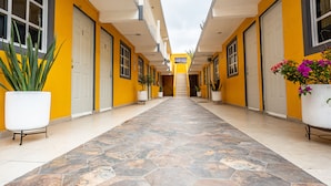 A corridor with yellow walls, white doors, and potted plants. - Posada del Ángel (Mineral de la Reforma)