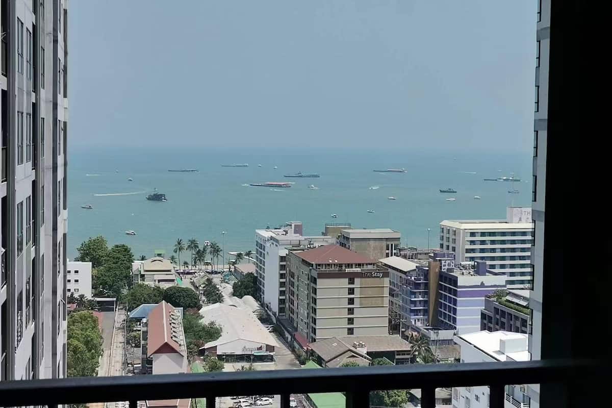 A view of a cityscape with a marina and several boats.