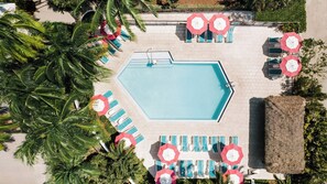 Indoor pool, outdoor pool, open 7:00 AM to 10:00 PM, pool umbrellas - The Laureate Key West (Key West)