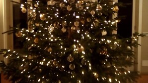 A Christmas tree with lights and ornaments, placed in a room with arched windows.
