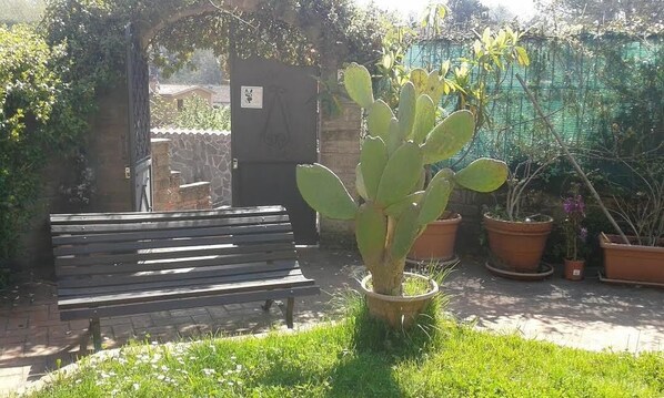 Un espace jardin agrémenté d’un cactus, d’un banc en bois et de plusieurs plantes en pot.